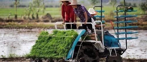 [访谈] 促进中德农业交流 致力于为农民提供前沿信息——访德国农业协会国际事业部总经理Jens Kremer